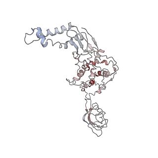 30611_7d80_5_v1-1
Molecular model of the cryo-EM structure of 70S ribosome in complex with peptide deformylase, trigger factor, and methionine aminopeptidase
