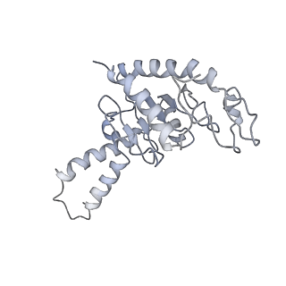 30611_7d80_C_v1-1
Molecular model of the cryo-EM structure of 70S ribosome in complex with peptide deformylase, trigger factor, and methionine aminopeptidase