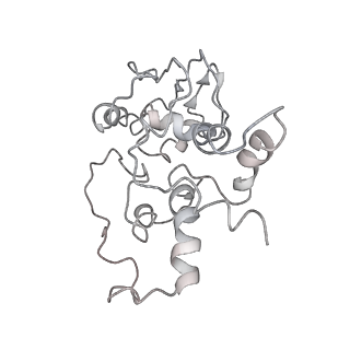 30611_7d80_E_v1-1
Molecular model of the cryo-EM structure of 70S ribosome in complex with peptide deformylase, trigger factor, and methionine aminopeptidase