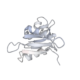 30611_7d80_I_v1-1
Molecular model of the cryo-EM structure of 70S ribosome in complex with peptide deformylase, trigger factor, and methionine aminopeptidase