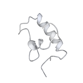 30611_7d80_S_v1-1
Molecular model of the cryo-EM structure of 70S ribosome in complex with peptide deformylase, trigger factor, and methionine aminopeptidase