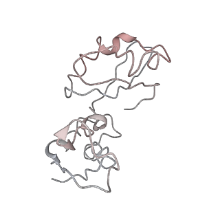 30611_7d80_h_v1-1
Molecular model of the cryo-EM structure of 70S ribosome in complex with peptide deformylase, trigger factor, and methionine aminopeptidase
