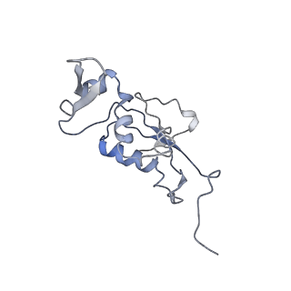 30611_7d80_i_v1-1
Molecular model of the cryo-EM structure of 70S ribosome in complex with peptide deformylase, trigger factor, and methionine aminopeptidase