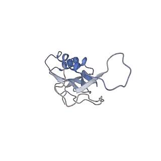 30611_7d80_l_v1-1
Molecular model of the cryo-EM structure of 70S ribosome in complex with peptide deformylase, trigger factor, and methionine aminopeptidase