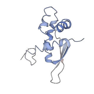 30611_7d80_m_v1-1
Molecular model of the cryo-EM structure of 70S ribosome in complex with peptide deformylase, trigger factor, and methionine aminopeptidase