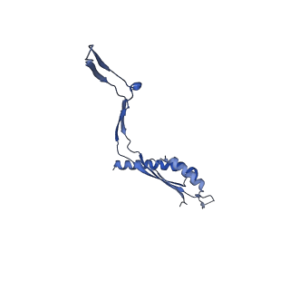 30612_7d84_A_v1-2
34-fold symmetry Salmonella S ring formed by full-length FliF