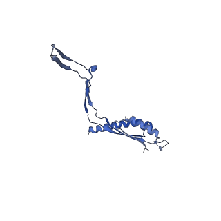 30612_7d84_B_v1-2
34-fold symmetry Salmonella S ring formed by full-length FliF