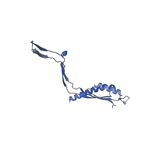 30612_7d84_C_v1-0
34-fold symmetry Salmonella S ring formed by full-length FliF