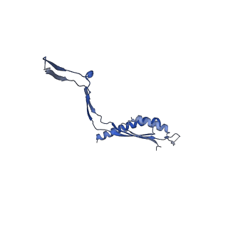 30612_7d84_C_v1-2
34-fold symmetry Salmonella S ring formed by full-length FliF