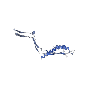 30612_7d84_D_v1-2
34-fold symmetry Salmonella S ring formed by full-length FliF