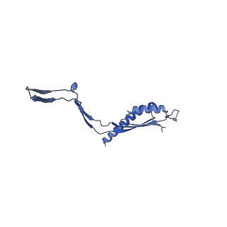 30612_7d84_E_v1-0
34-fold symmetry Salmonella S ring formed by full-length FliF