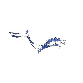 30612_7d84_E_v1-2
34-fold symmetry Salmonella S ring formed by full-length FliF