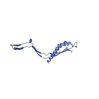 30612_7d84_F_v1-2
34-fold symmetry Salmonella S ring formed by full-length FliF