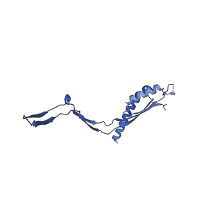 30612_7d84_G_v1-2
34-fold symmetry Salmonella S ring formed by full-length FliF