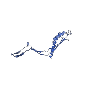 30612_7d84_H_v1-0
34-fold symmetry Salmonella S ring formed by full-length FliF