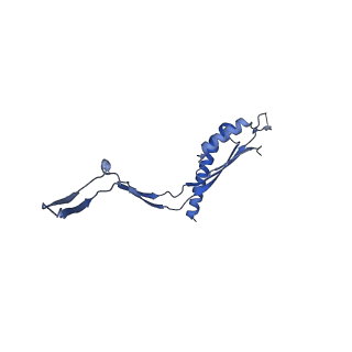 30612_7d84_H_v1-2
34-fold symmetry Salmonella S ring formed by full-length FliF