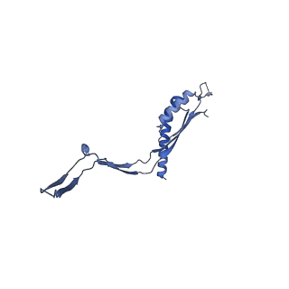 30612_7d84_I_v1-0
34-fold symmetry Salmonella S ring formed by full-length FliF