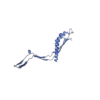 30612_7d84_I_v1-2
34-fold symmetry Salmonella S ring formed by full-length FliF