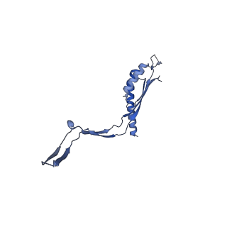 30612_7d84_J_v1-0
34-fold symmetry Salmonella S ring formed by full-length FliF
