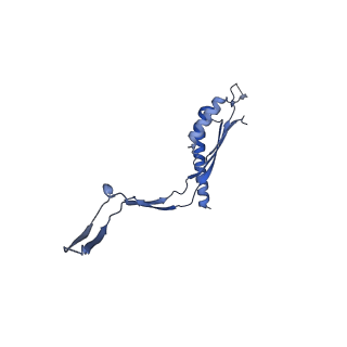 30612_7d84_J_v1-2
34-fold symmetry Salmonella S ring formed by full-length FliF