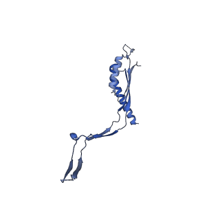 30612_7d84_L_v1-0
34-fold symmetry Salmonella S ring formed by full-length FliF