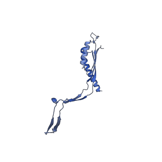 30612_7d84_L_v1-2
34-fold symmetry Salmonella S ring formed by full-length FliF