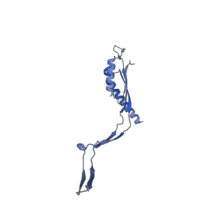 30612_7d84_M_v1-0
34-fold symmetry Salmonella S ring formed by full-length FliF