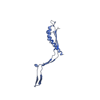 30612_7d84_M_v1-2
34-fold symmetry Salmonella S ring formed by full-length FliF