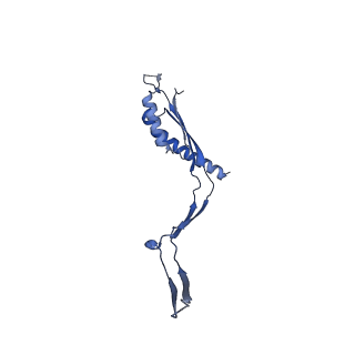 30612_7d84_O_v1-2
34-fold symmetry Salmonella S ring formed by full-length FliF