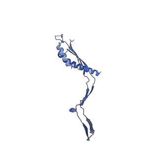 30612_7d84_P_v1-0
34-fold symmetry Salmonella S ring formed by full-length FliF