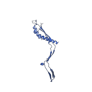 30612_7d84_P_v1-2
34-fold symmetry Salmonella S ring formed by full-length FliF