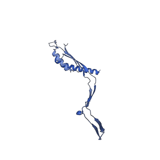 30612_7d84_Q_v1-0
34-fold symmetry Salmonella S ring formed by full-length FliF