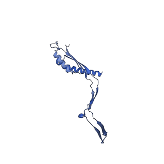 30612_7d84_Q_v1-2
34-fold symmetry Salmonella S ring formed by full-length FliF