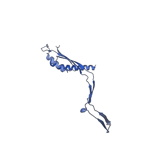 30612_7d84_R_v1-0
34-fold symmetry Salmonella S ring formed by full-length FliF
