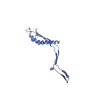 30612_7d84_R_v1-2
34-fold symmetry Salmonella S ring formed by full-length FliF