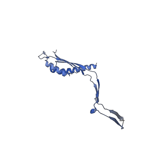 30612_7d84_S_v1-0
34-fold symmetry Salmonella S ring formed by full-length FliF
