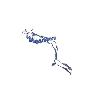 30612_7d84_S_v1-2
34-fold symmetry Salmonella S ring formed by full-length FliF