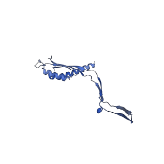 30612_7d84_T_v1-0
34-fold symmetry Salmonella S ring formed by full-length FliF