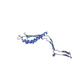 30612_7d84_U_v1-0
34-fold symmetry Salmonella S ring formed by full-length FliF