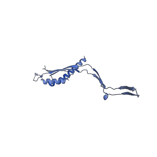 30612_7d84_V_v1-0
34-fold symmetry Salmonella S ring formed by full-length FliF