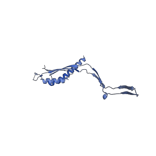 30612_7d84_V_v1-2
34-fold symmetry Salmonella S ring formed by full-length FliF