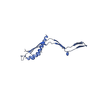 30612_7d84_X_v1-0
34-fold symmetry Salmonella S ring formed by full-length FliF
