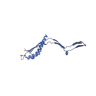 30612_7d84_X_v1-2
34-fold symmetry Salmonella S ring formed by full-length FliF