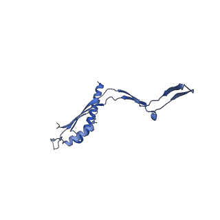 30612_7d84_Y_v1-2
34-fold symmetry Salmonella S ring formed by full-length FliF