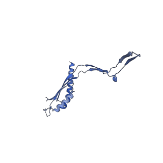 30612_7d84_Z_v1-0
34-fold symmetry Salmonella S ring formed by full-length FliF