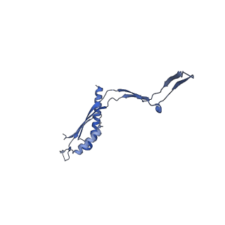 30612_7d84_Z_v1-2
34-fold symmetry Salmonella S ring formed by full-length FliF