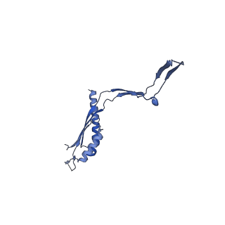 30612_7d84_a_v1-0
34-fold symmetry Salmonella S ring formed by full-length FliF
