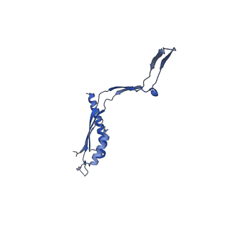 30612_7d84_b_v1-0
34-fold symmetry Salmonella S ring formed by full-length FliF