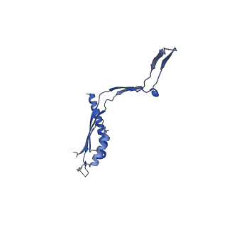 30612_7d84_b_v1-2
34-fold symmetry Salmonella S ring formed by full-length FliF