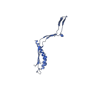 30612_7d84_c_v1-0
34-fold symmetry Salmonella S ring formed by full-length FliF